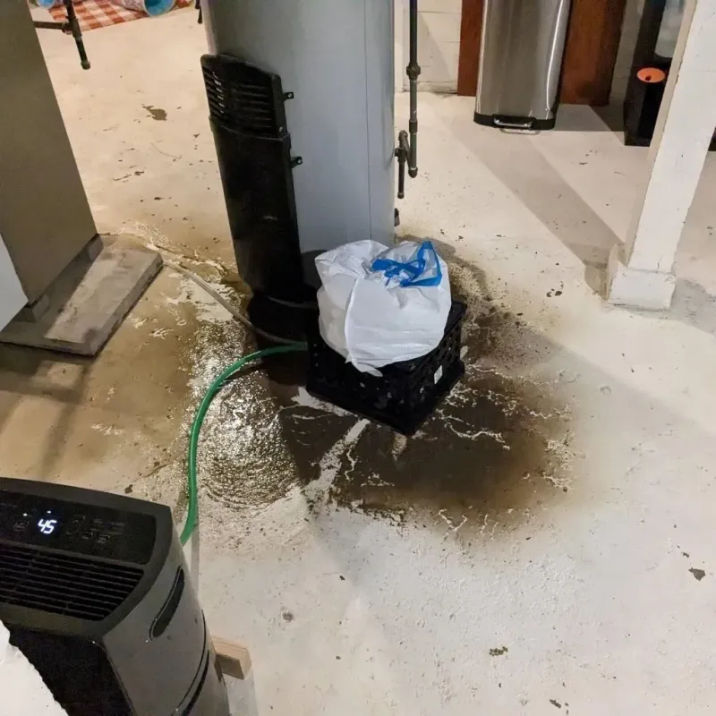 Sewage Backup Cleanup Service in Lehighton, PA